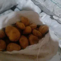 فروش سیب زمینی جیلی