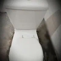 فرنگی، تمیز، سالم،