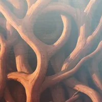 کاخن