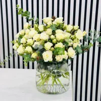 جارگل رز مینیاتوری کد ۱۸۰۵ گلاریس