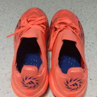 استوک f50|کیف، کفش، کمربند|رشت, پاستوریزه|دیوار