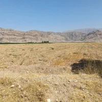 زمین-کشاورزی-2هکتار-جفت-جاده-روستا