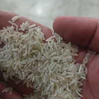 خرید وفروش انواع برنج ایرانی فجر.هاشمی.خرده برنج|عمده‌فروشی|شیراز, فرهنگ شهر|دیوار