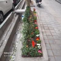 خدمات باغبانی سرویس‌تمام  نقاط تهران