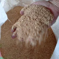 سبوس گندم درشت