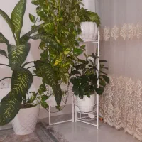 گل طبیعی با استند