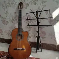 فروش گیتار پیکاپ دار