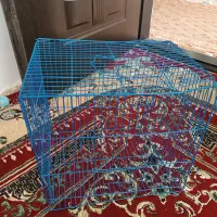 قفس