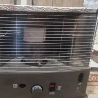 دو عدد تیوست سالم به فروش میرسد