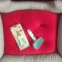 جای خواب سگ و گربه