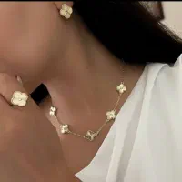ست کامل ونکیلف رنگ ثابت