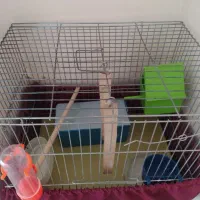 قفس پرنده|لوازم جانبی حیوانات|شاهین‌شهر, گرگاب|دیوار