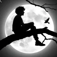 راهنمایی درباره کار ، دنبال کار میگردم