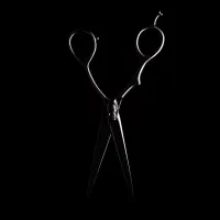 ارایشگر ماهر