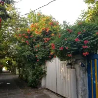 تدریس خصوصی تضمینی ریاضی هفتم تا دوازدهم