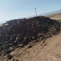 کود گوسفندی