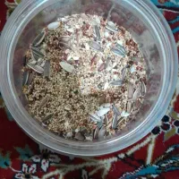 غذای عروس هلندی