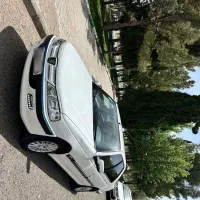 پارس تمیز و خونگی