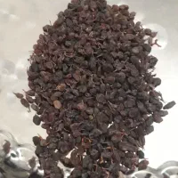 مویز کشمش|خوردنی و آشامیدنی|سردرود, |دیوار