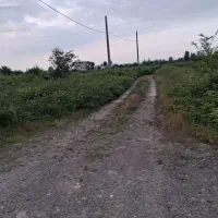 زمین ۲۱۶متری