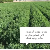 بذر قره یونجه آذربایجان با راندمان بالا|خدمات باغبانی و درختکاری|اهواز, آریاشهر|دیوار