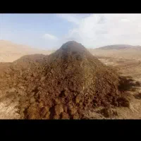 کود حیوانی