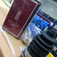 بلبرینگ دیسک کله پلوس