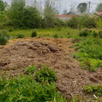 فروش زمین بامجوزمسکونی