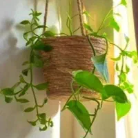 آگهی زیر رو بخونید پیشنهاد کار بدین