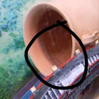 آکواریوم ماهیران|ماهی|ارومیه, |دیوار