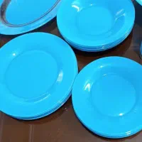 آرکوپال رنگی فرانسه|ظروف سرو و پذیرایی|تهران, بهداشت|دیوار