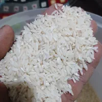 برنج دمسیاه