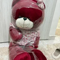 خرس پولیشی نو