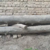 چوب فروشی 5 عدد بزرگ