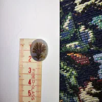 شجر|جواهرات|تهران, سلسبیل جنوبی|دیوار