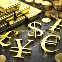 سرمایه گذاری در مشاغل