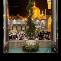 میلاد امام رضا مشهد مقدس