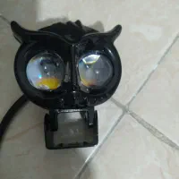 پروژکتور جغدی و گرد جفتی