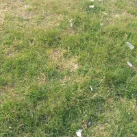 180-متر-پشت-تعویض-پلاک