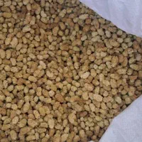 فروش توت خشک|خوردنی و آشامیدنی|قم, قلعه کامکار|دیوار