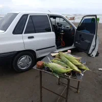 پراید|خودرو سواری و وانت|بومهن, |دیوار