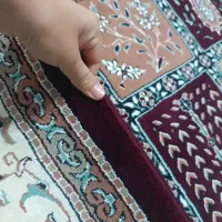 فرش قالی سلیمان ۵۰۰شانه تراکم هزار.|فرش|تربت‌حیدریه, ۴۵ متری|دیوار