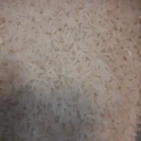 برنج طارم دم‌سیاه درجه ۱ مانه