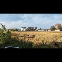 500-متر-زمین-ساحلی-چسب-دریای-میرود-بابلسر