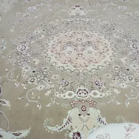 پنج عدد شش متری