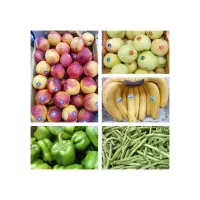 واگذاری غرفه میوه شکوه شهر