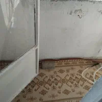 اجاره آپارتمان ۸۰ متری ۲ خوابه طبقه ۲ در جاهد شهر|اجارهٔ آپارتمان|مشهد, جاهد شهر|دیوار