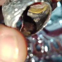 انگشتر عقیق یمن|کلکسیون اشیاء عتیقه|کرمان, |دیوار