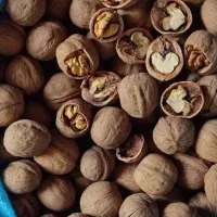 گردو‌ کاغذی درجه یک|خوردنی و آشامیدنی|شیراز, انجیر|دیوار