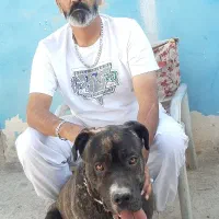 کنکورسو نر ۳ سال